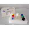 猪口蹄疫病毒O型抗体检测试剂盒