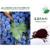 润木供应蓝莓提取物花青素25%