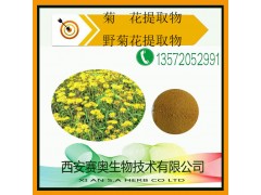 菊花提取物 野菊花提取