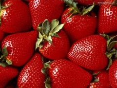 草莓提取物 草莓浓缩粉