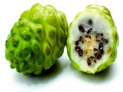 Noni（诺丽果）酵素 养