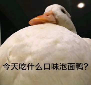 泡面网红店被捧上天!那些关于防腐剂的谣言也该散了!