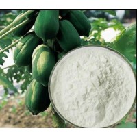 食品级木瓜蛋白酶   酶制剂 木瓜蛋白酶