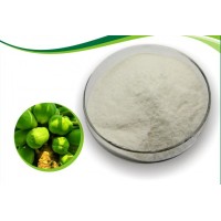 郑州宏兴酶制剂木瓜蛋白酶用法用量