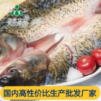 供应安徽三珍食品冷冻烤鱼食材 开背草鱼直销