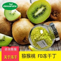 FD冻干猕猴桃 水果干制品蔬菜制品冻干食品批发代工