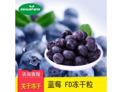 FD冻干蓝莓 综合蔬果干F