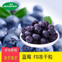 FD冻干蓝莓 综合蔬果干FD冻干水果制品厂家