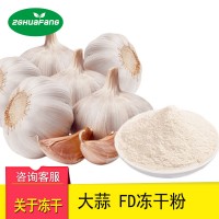 广东华芳 FD冻干大蒜粉 大蒜调味粉果蔬粉批发