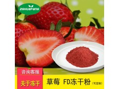 草莓冻干粉 果蔬粉冻干