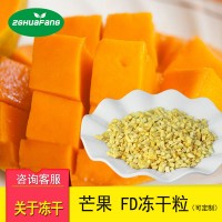 冻干芒果粒 脱水果蔬芒果丁 冻干水果颗粒食品原料批发