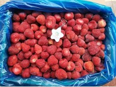 供应鲜果速冻美十三草莓