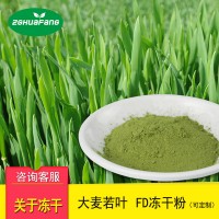 FD冻干大麦若叶粉 冻干麦苗粉果蔬粉批发