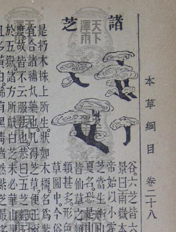 c2fc44ffdaa8adc2cd29f31c3d2808e8591859.jpg 图片5.jpg