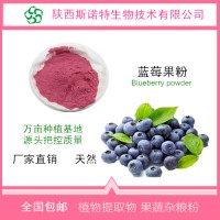 蓝莓粉蓝莓花青素厂家批发食品级原料厂家