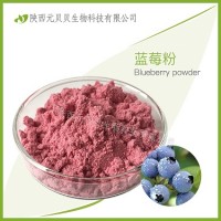 蓝莓速溶汁粉 元贝贝厂家直供口感好营养丰富 蓝莓粉