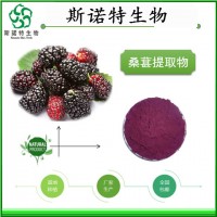 桑葚粉桑葚提取物桑葚花青素厂家饮品原料批发