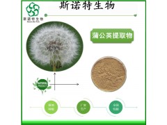 斯诺特现货供应蒲公英提