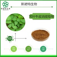 耳叶牛皮消提取物比例提取耳叶牛皮消浸膏粉厂家