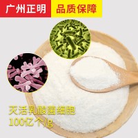 灭活乳酸菌粉 后生元 食品日化品原料