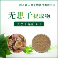 厂家供应无患子提取物 无患子皂甙40% 洗涤用品 发泡剂