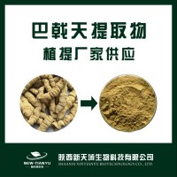 现货供应巴戟天提取物10：1 巴戟天粉 水溶粉 植物提取物