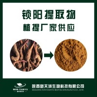 厂家现货供应锁阳提取物10：1 锁阳粉 水溶粉 植物提取物