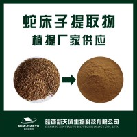 厂家现货供应蛇床子提取物10：1 蛇床子素 植物提取物