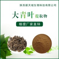 厂家供应大青叶提取物10：1 植物提取物 厂家直销