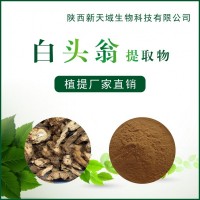 厂家供应白头翁提取物10:1 植物提取物 现货包邮