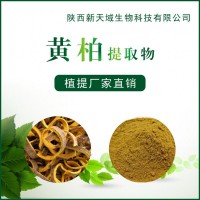 厂家供应黄柏提取物10：1 植物提取物 现货供应