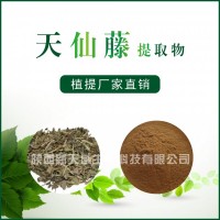 天仙藤提取物 / 植物提取物 / 厂家直销