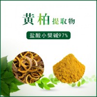 黄柏提取物 / 盐酸小檗碱97% / 纯植物提取物