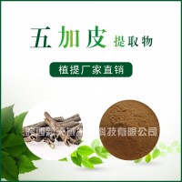 五加皮提取物 / 植物提取物 / 厂家直销