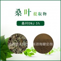 桑叶提取物 / 桑叶DNJ5% / 植提厂家直销