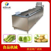 厂家直销不锈钢自动洗菜机 多功能水果蔬菜降解农药机 除臭机