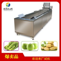 厂家促销经济实惠型多功能洗菜机 气泡式蔬菜瓜果清洗机
