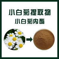 小白菊提取物 / 植物提取物 / 厂家直销