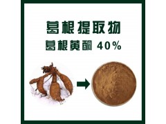 葛根提取物 葛根黄酮40%