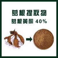 葛根提取物 葛根黄酮40%