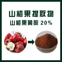 山楂果提取物/山楂果黄酮20%