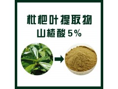 枇杷叶提取物/山楂酸5%