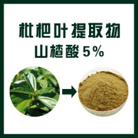 枇杷叶提取物/山楂酸5%