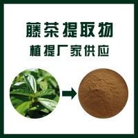 藤茶提取物/ 二氢杨梅素10:1