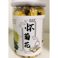 河南温县怀菊花