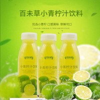 小青柠汁饮料 夏季小青柠汁饮料OEM加工 山东皇菴堂生产厂家