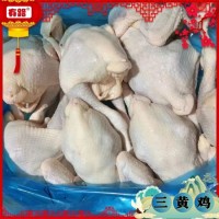 冷冻三黄鸡货源_有路食品_山东白条鸡厂家长期供应