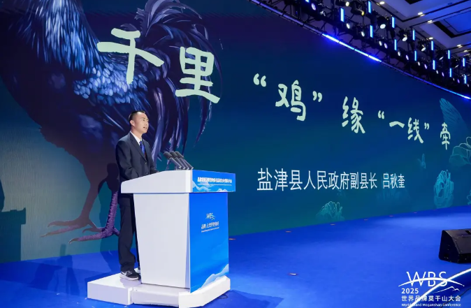 QQ20250512-133536