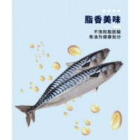 冷冻烤青花鱼 冷冻烤鲭鱼 烤青花鱼冻品 烤鲭鱼冻品