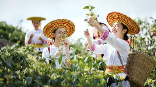 图片 8.jpg
